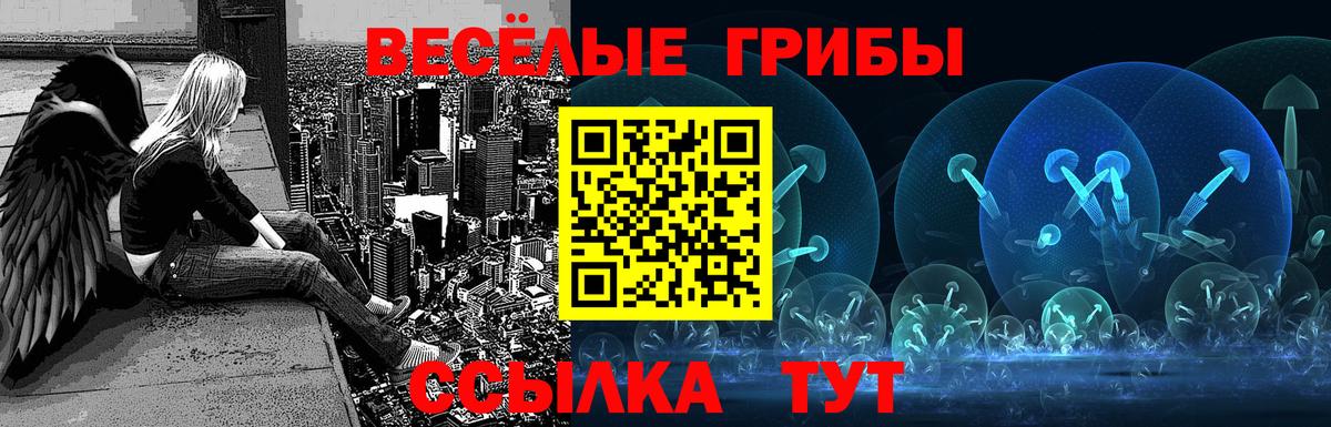 Псилоцибиновые грибы GOLDEN TEACHER Белогорск