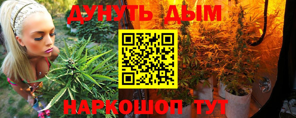 Конопля конопля  Канабис гибрид  Белогорск  Вход с VPN 